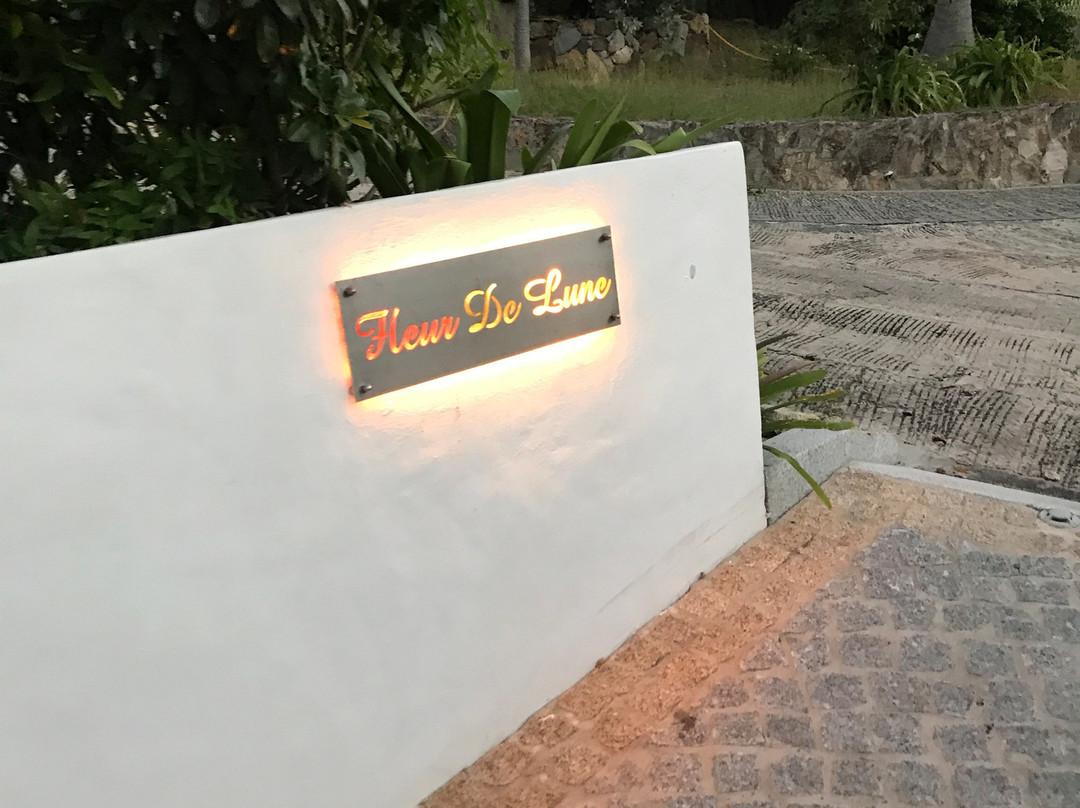 La Maison Fleur de Lune主图