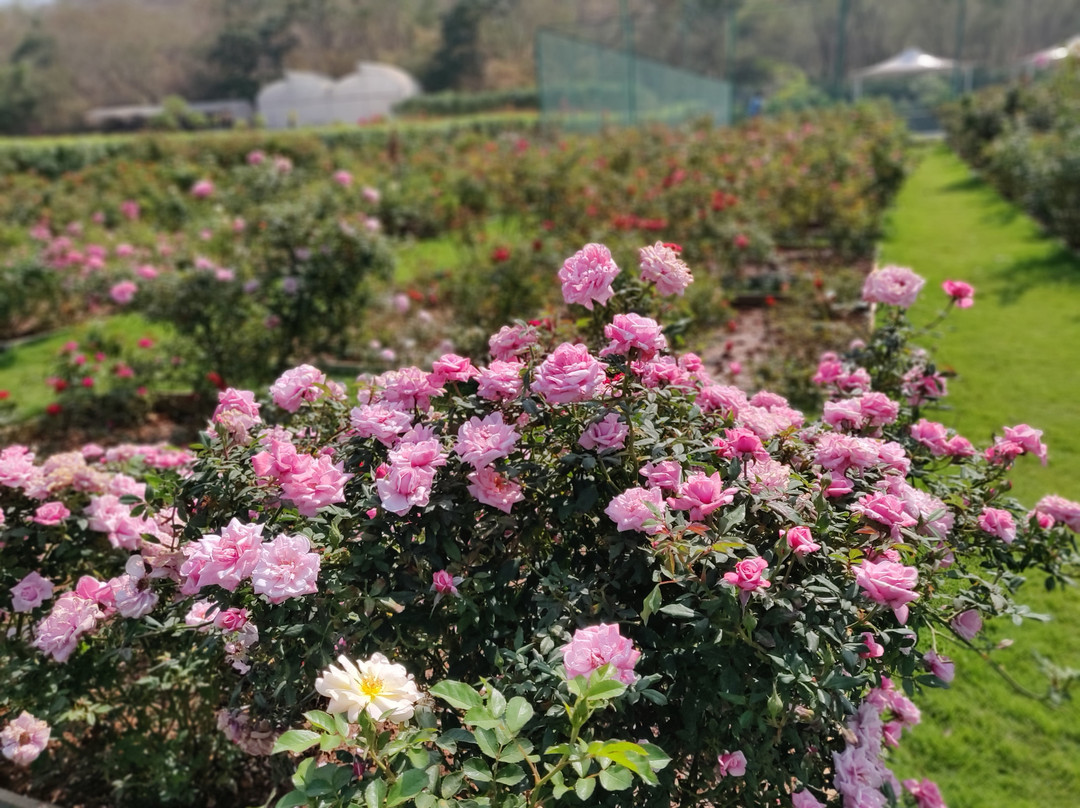 The Source at Sula主图