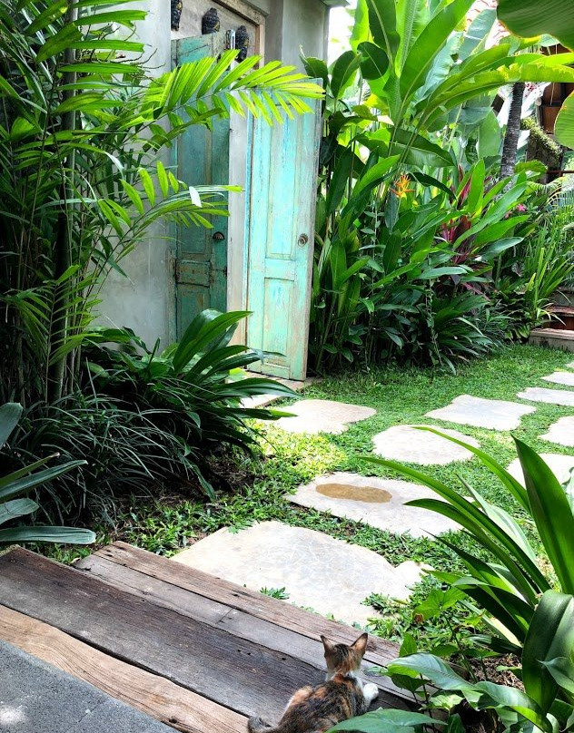 Seaside Tribe - Boutique Surf Stay & Retreat主图