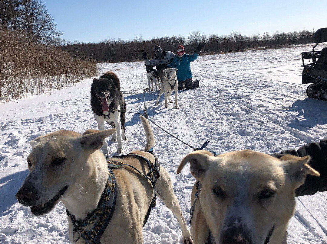 Mushing Works Dog Sledding Tours景点图片