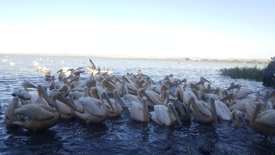 Ethio Backpacker Tours-亚的斯亚贝巴必去景点