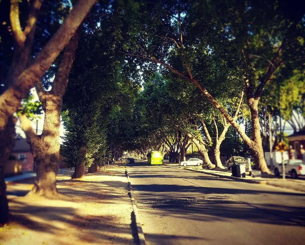 Plaza de Limache-Limache必去景点