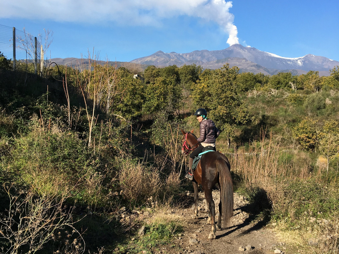Sicily Horse Riding景点图片
