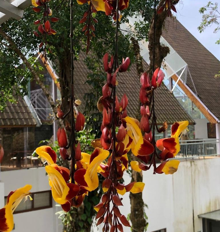 Deep Woods Resort主图