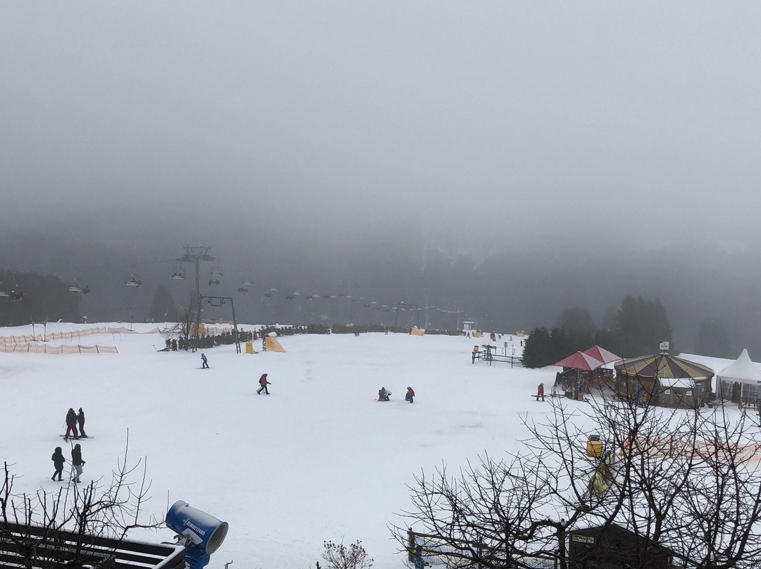 Gasthof zur Post主图