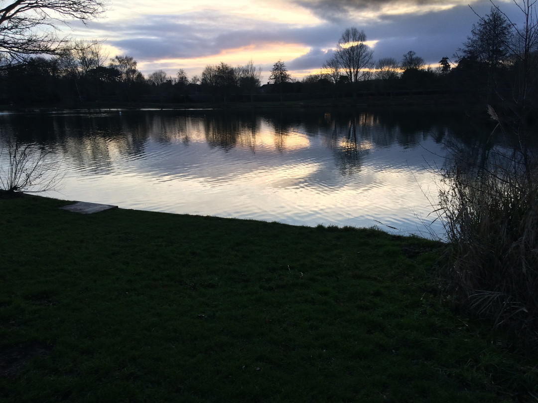 Needham Lake景点图片