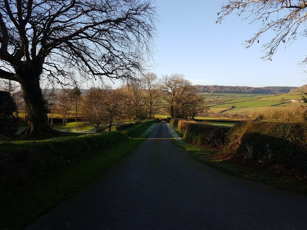 Buckley Farmhouse B And B主图