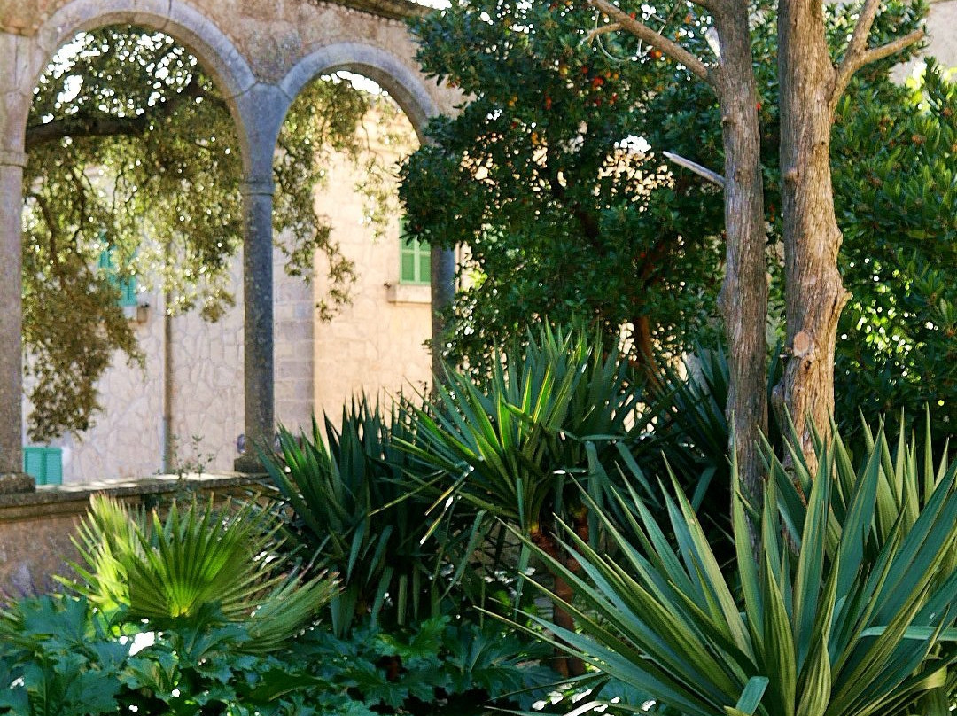 Santuari de Nostra Senyora de Cura景点图片