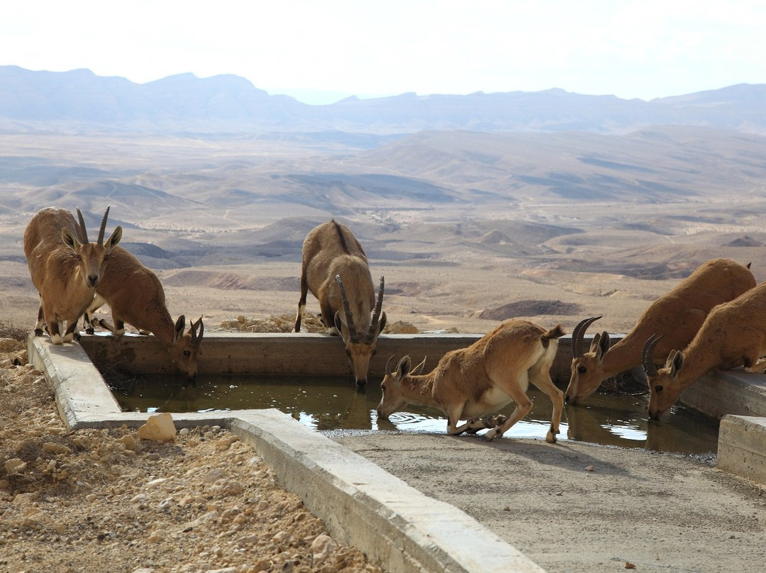 Colorful Sands Park-Yeruham必去景点