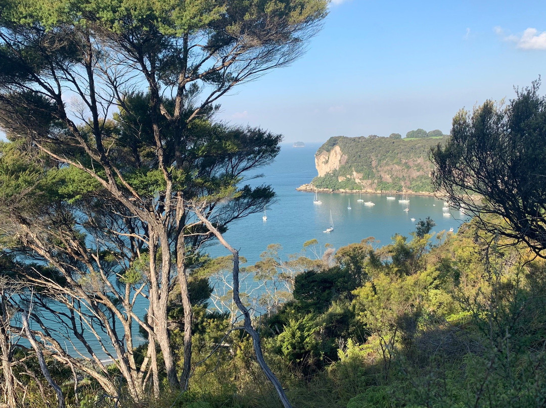 Whitianga Rock Walk景点图片