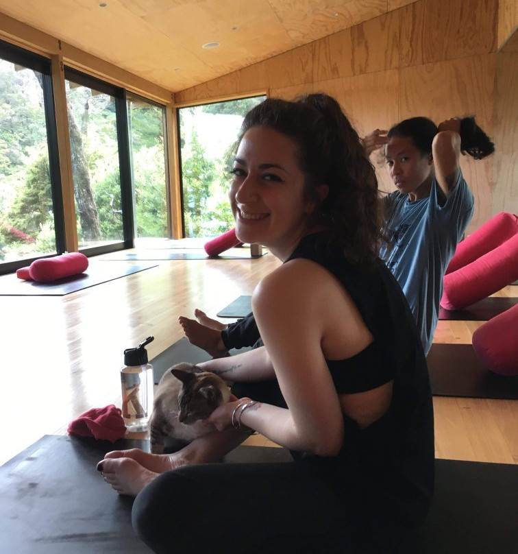 Pause Yoga景点图片