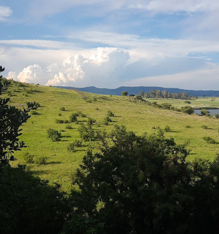 Wakkerstroom Wetland Reserve景点图片