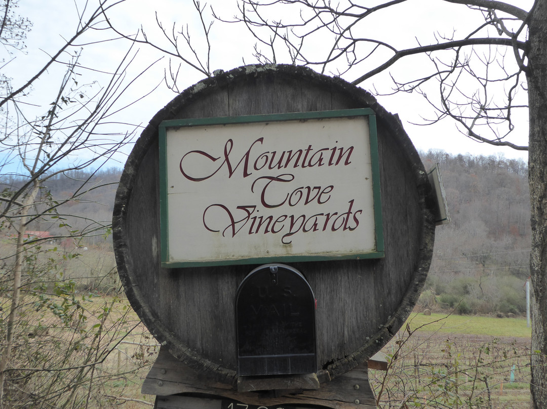 Mountain Cove Vineyards-Lovingston必去景点