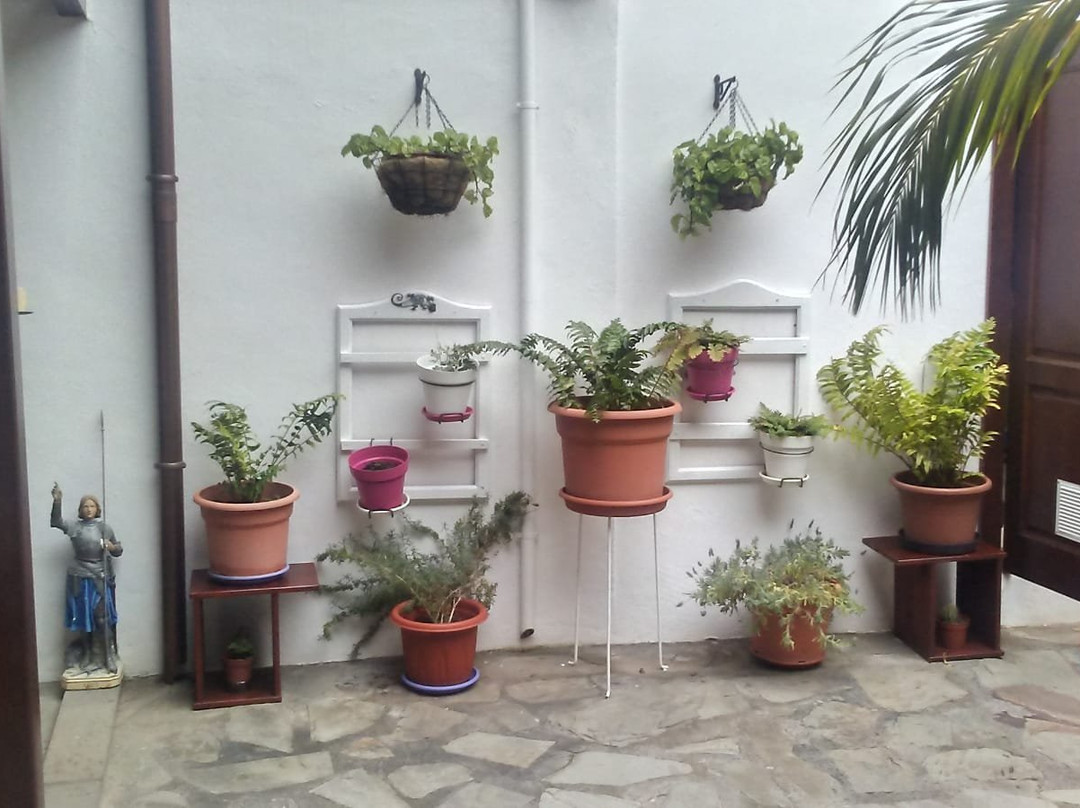 Casa Rural Los Helechos主图
