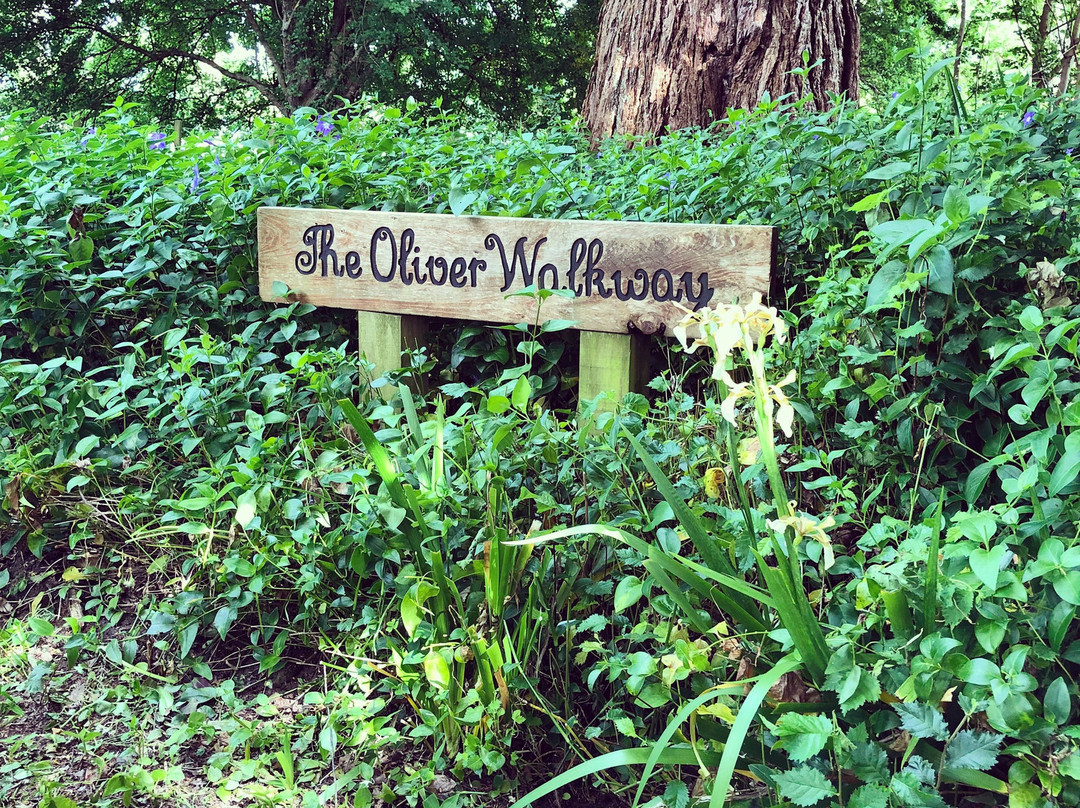 Llandaff Country Retreat B & B主图