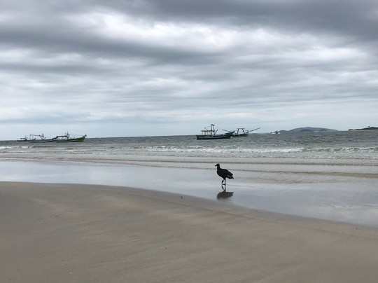 Deserta Beach-Ilha do Superagui必去景点