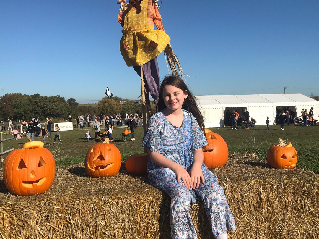 PYO Pumpkins-罗契斯特必去景点