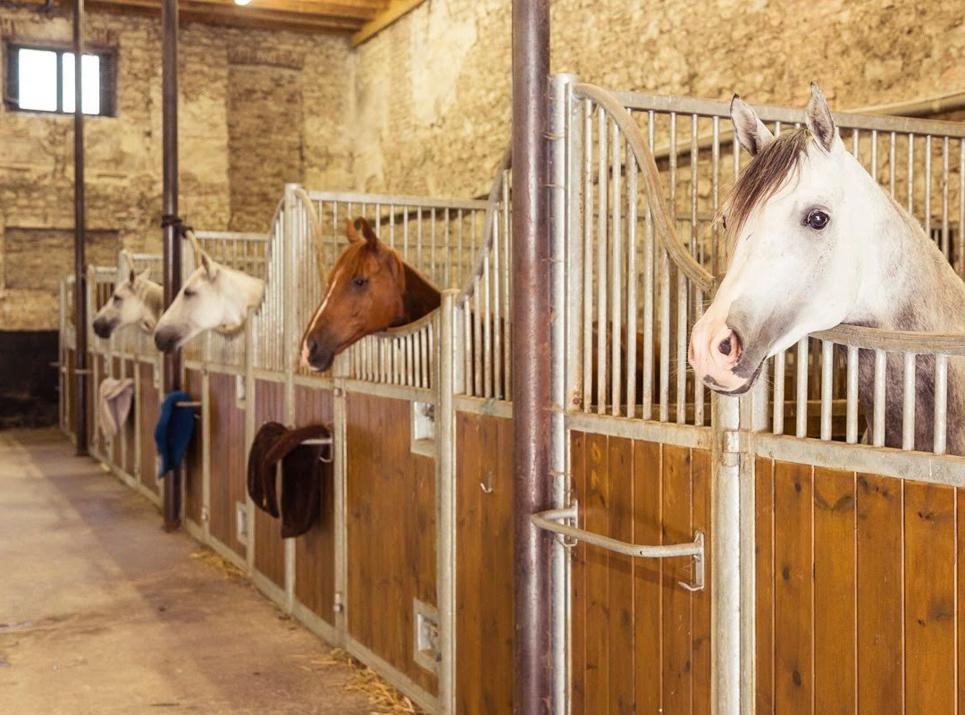 Écuries ALF-Chamant必去景点