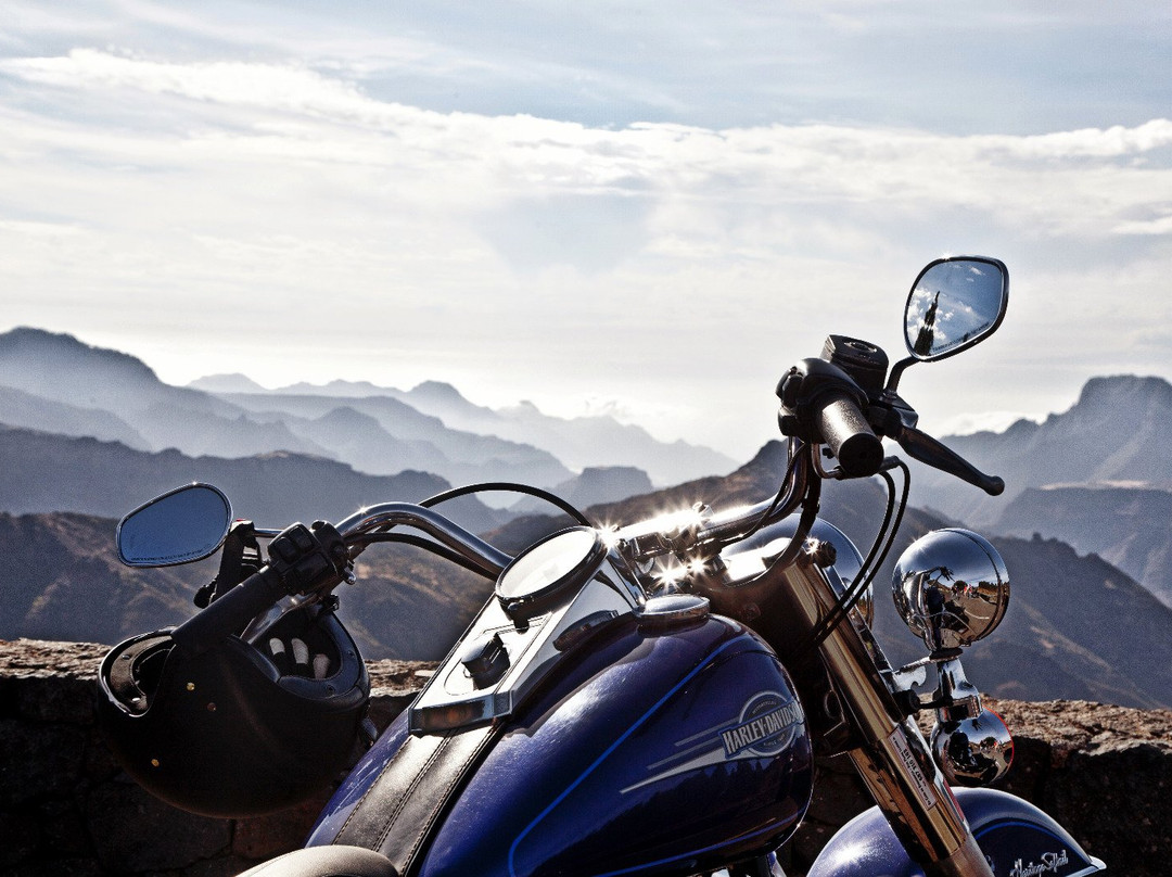 Custom Tours Canarias-Abades必去景点