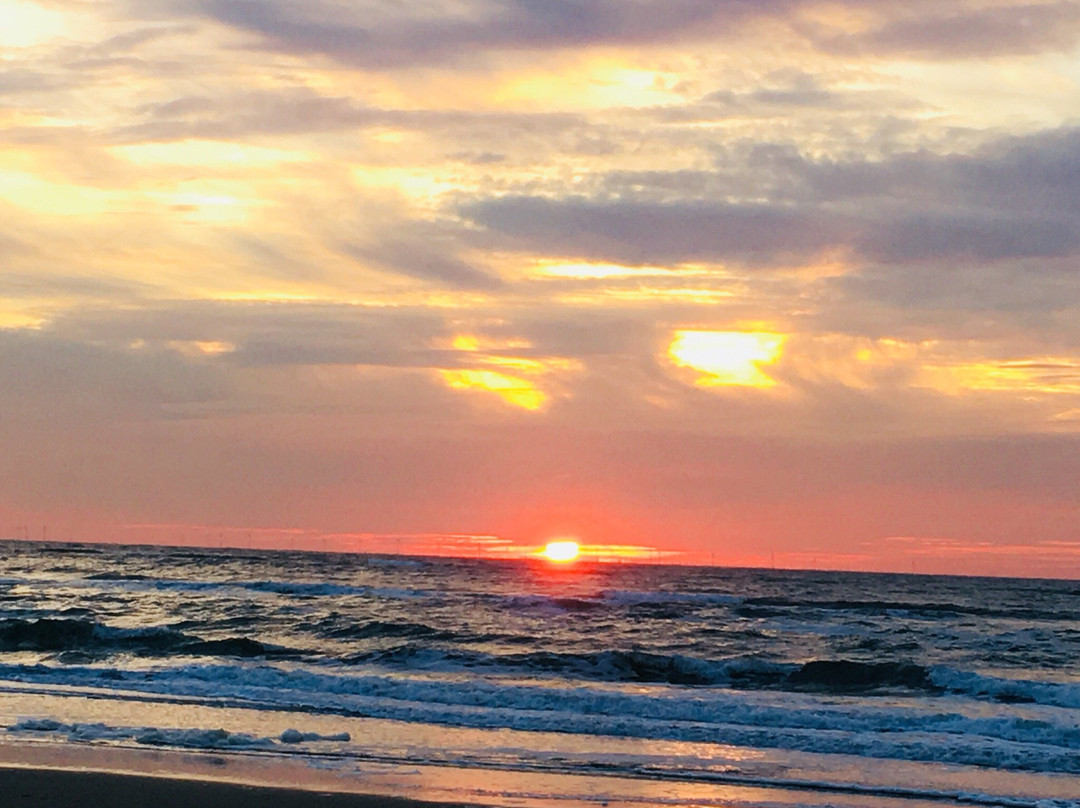 het strand van Bergen aan Zee景点图片