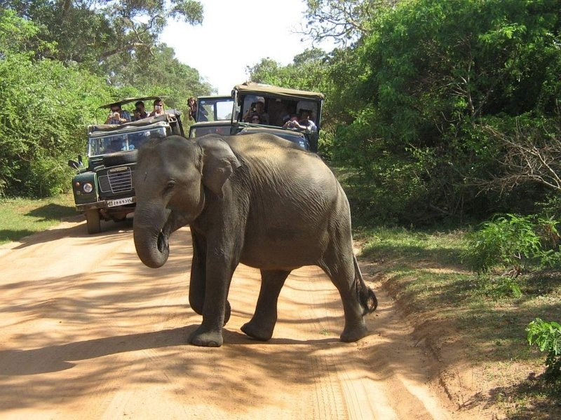 Classical Lanka Tours-Trincomalee必去景点
