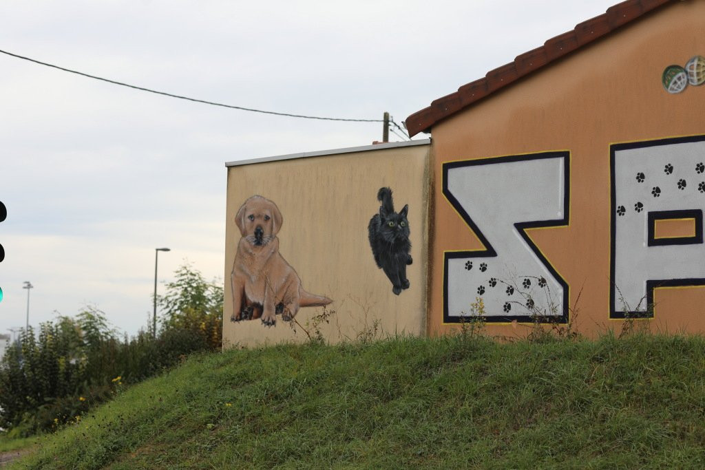 Fresque  Societe Protectrice Des Animaux-Chatenoy-le-Royal必去景点