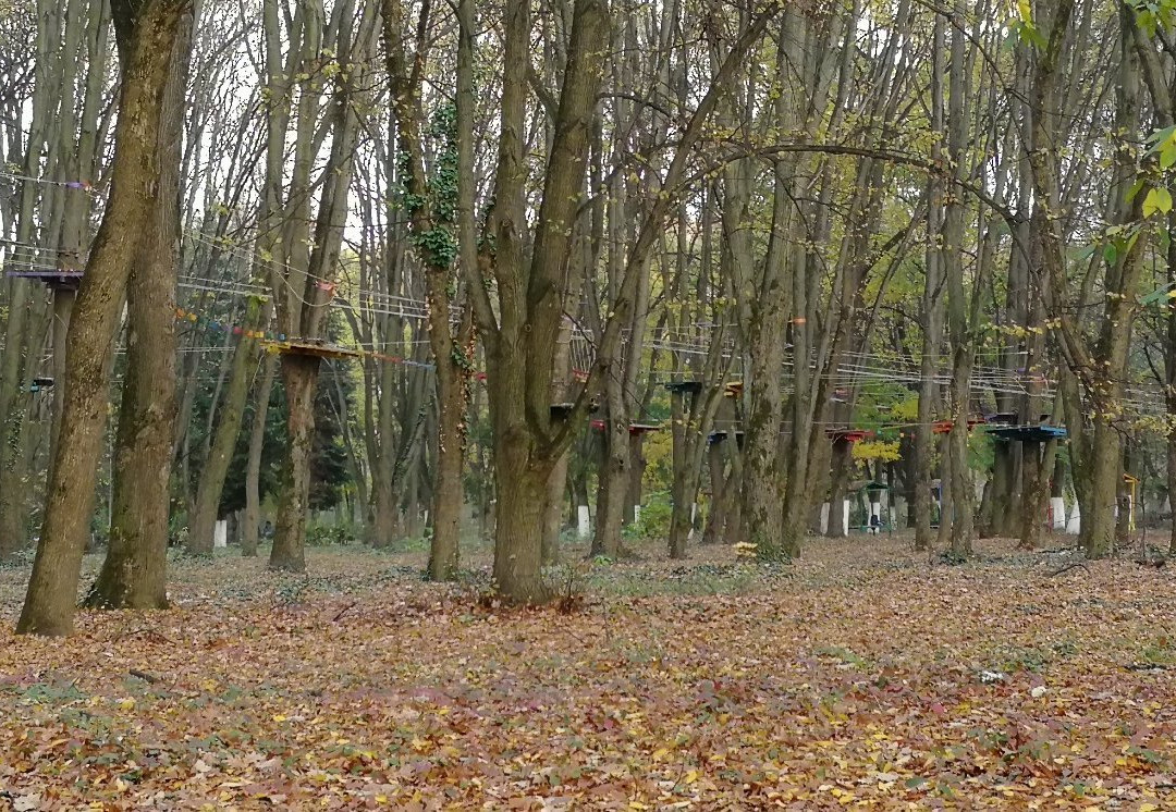 Bozdoshskiy Park-乌日霍罗德必去景点