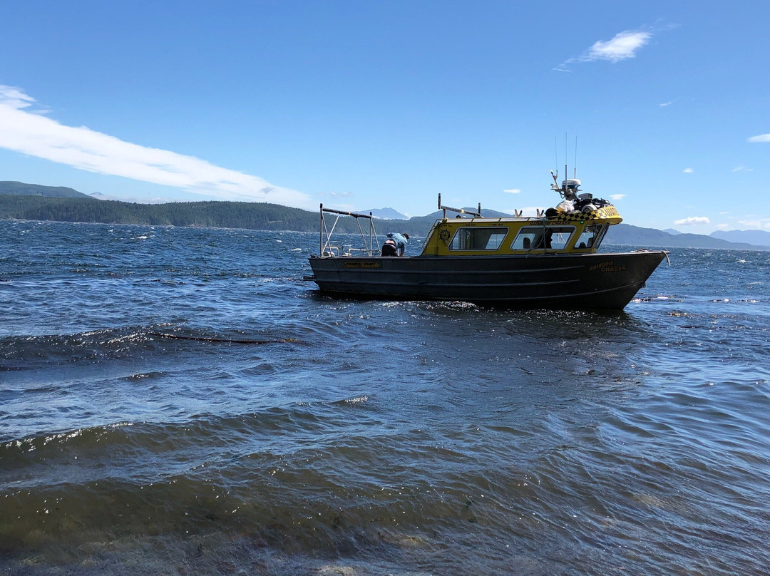 Ecosummer Expeditions-Telegraph Cove必去景点