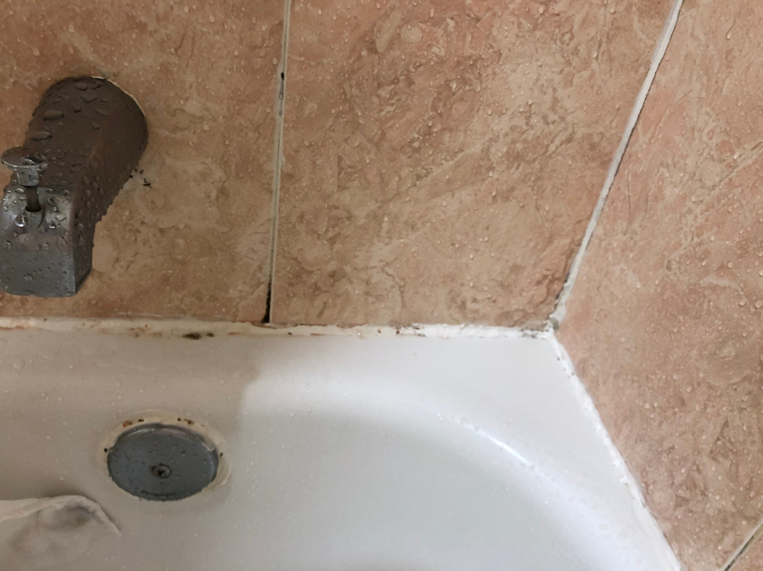 Melrose @ Seabrook, BW Signature Collection主图