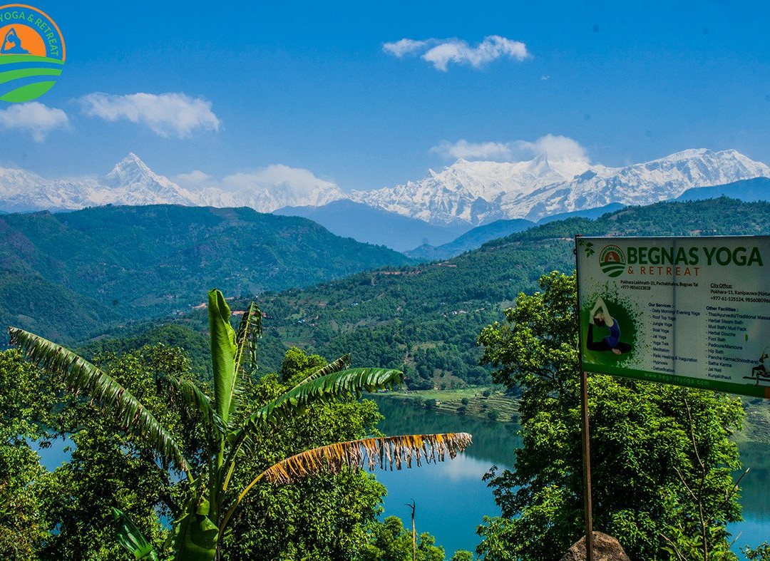 Shakshi Ayurveda Yogasharam景点图片
