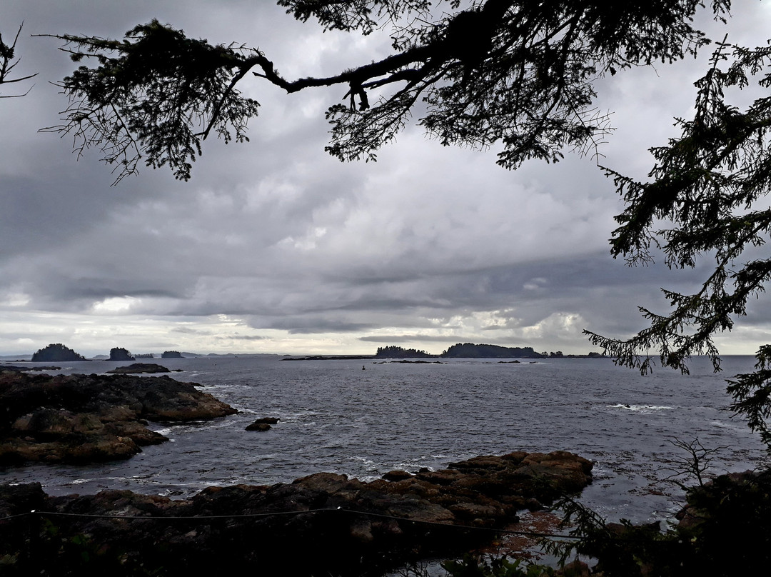 Amphitrite Point Lighthouse景点图片