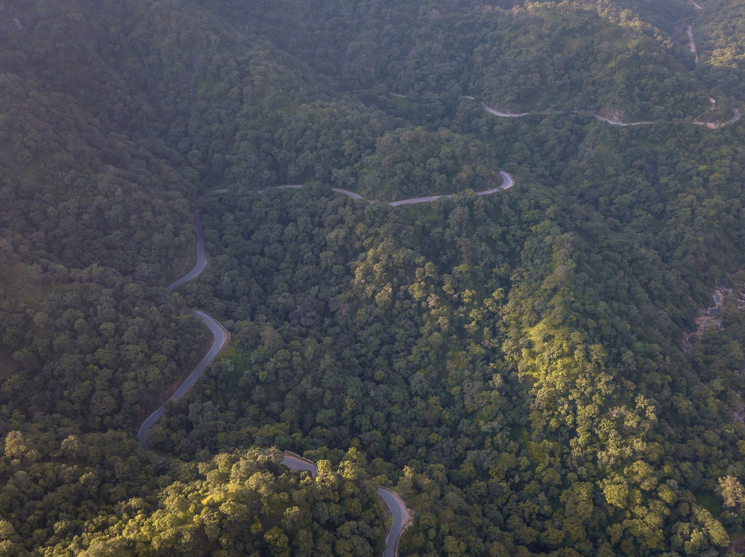 Ranakpur Adventures-拉那克普必去景点
