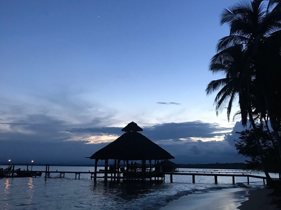 Al Natural Resort主图