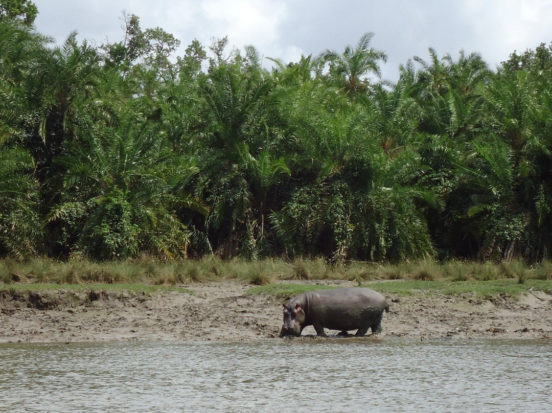 Road 2 Africa-Dar es Salaam必去景点