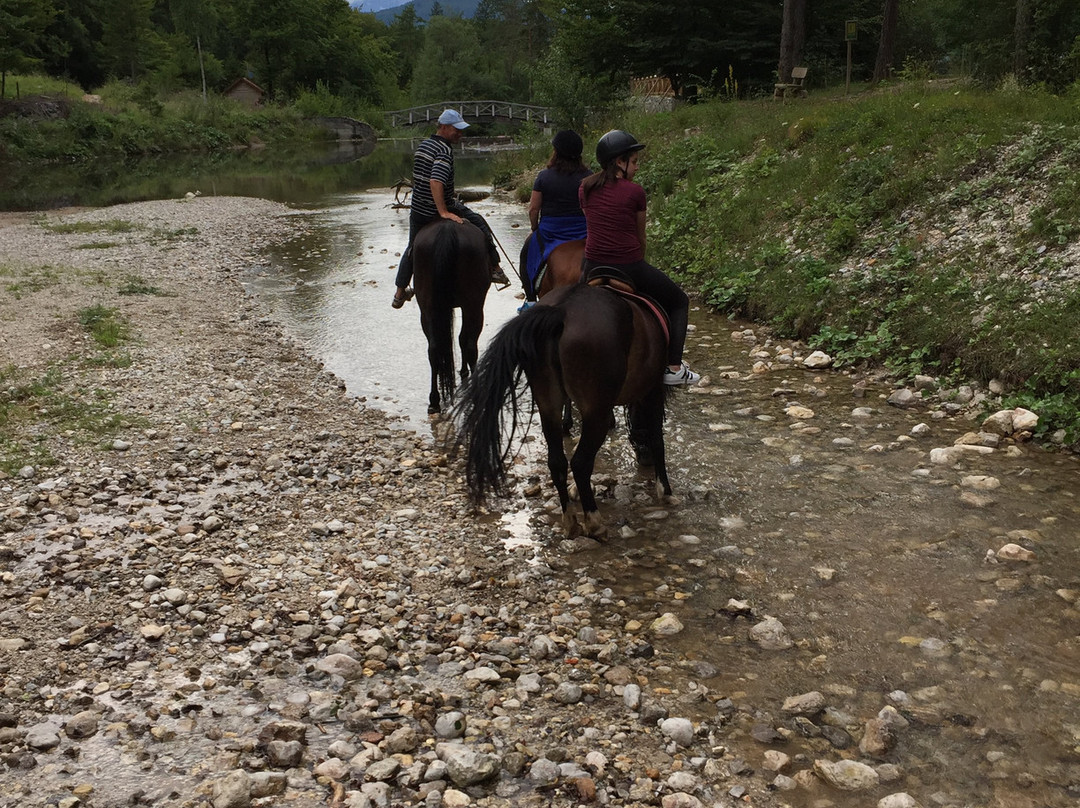 sLOVEnia HORSE RIDING-布莱德必去景点
