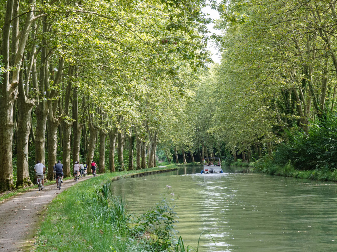 Les Cycles du Canal景点图片