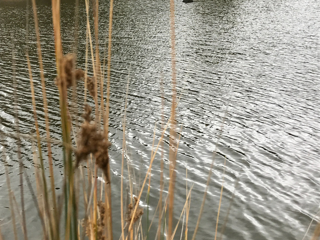 Crater Lake-Rawson必去景点