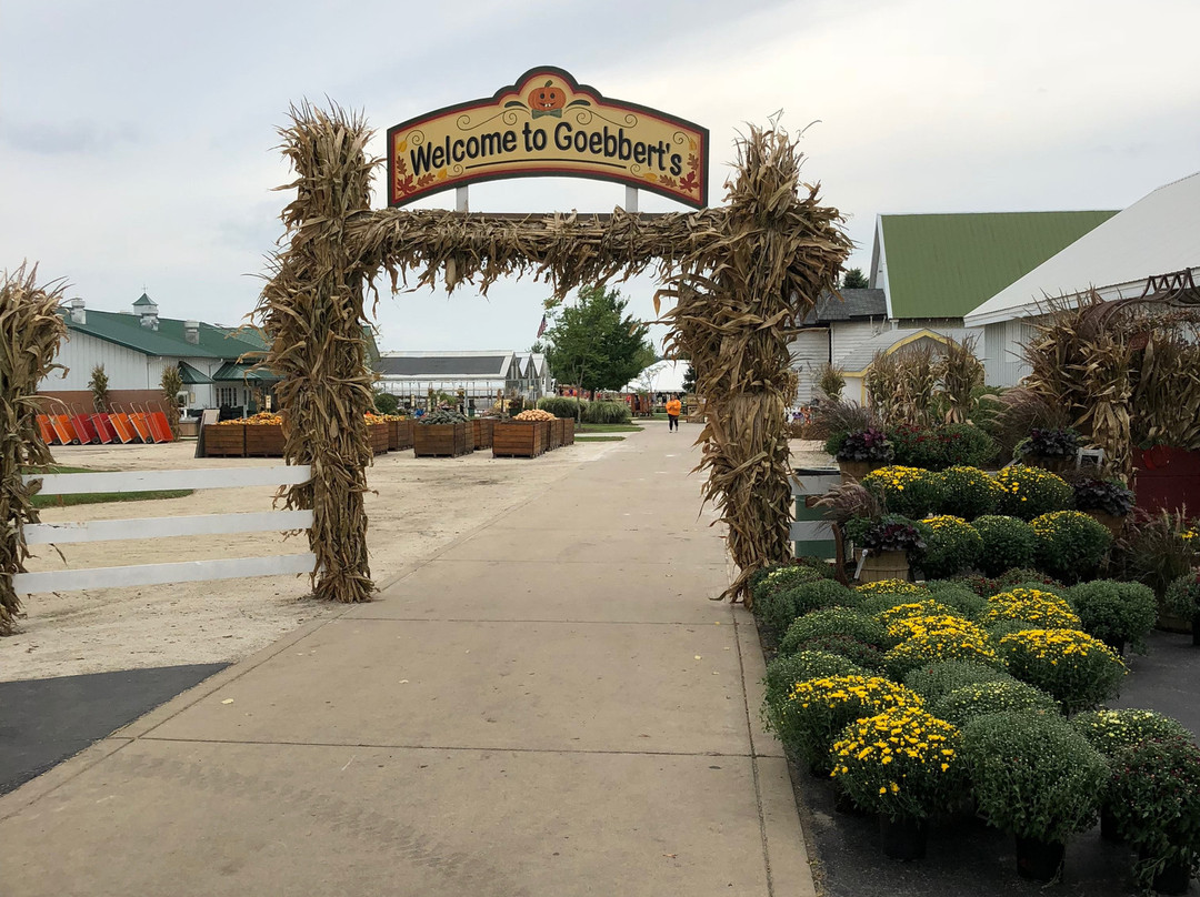 Goebbert's Pumpkin Patch-Hampshire必去景点