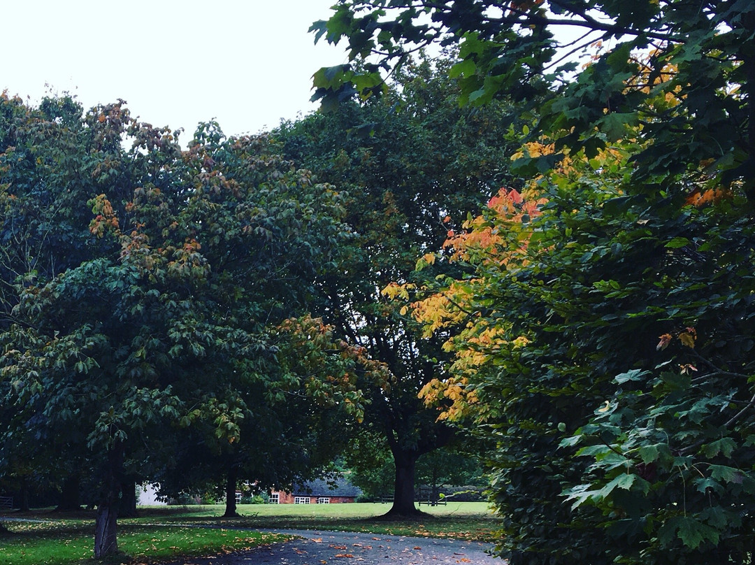 Diseworth旅游攻略图片