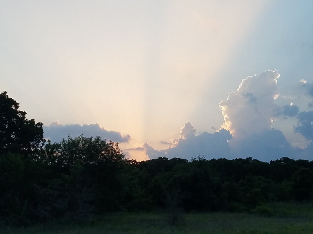 Agave Hurricane Trail Company-沃思堡必去景点