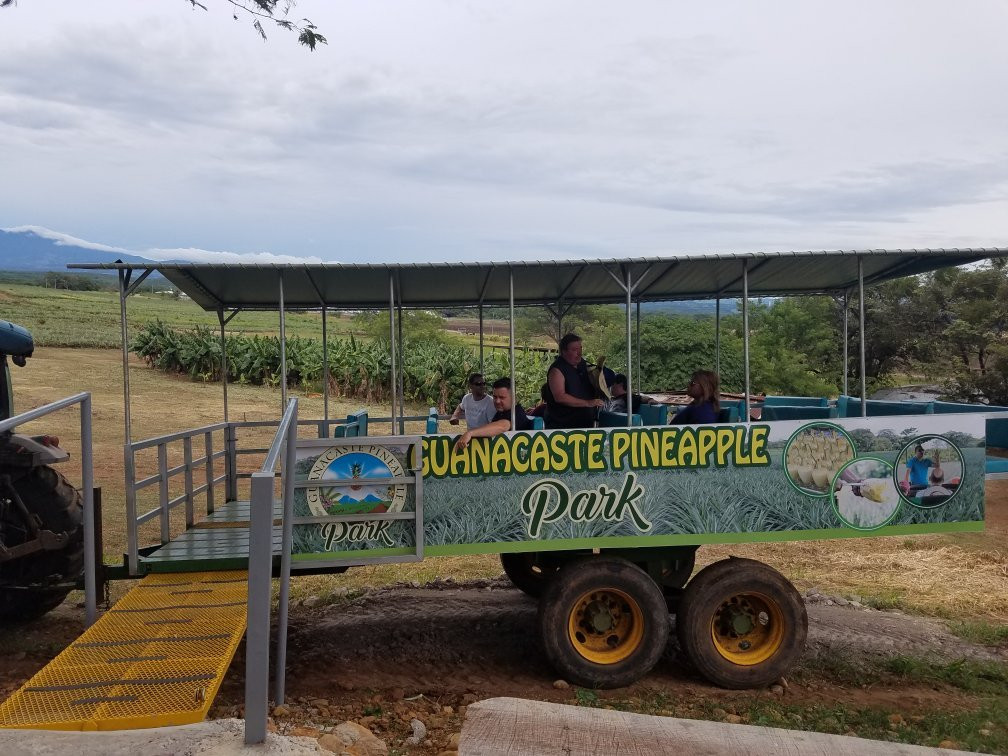 Guanacaste Pineapple Park景点图片