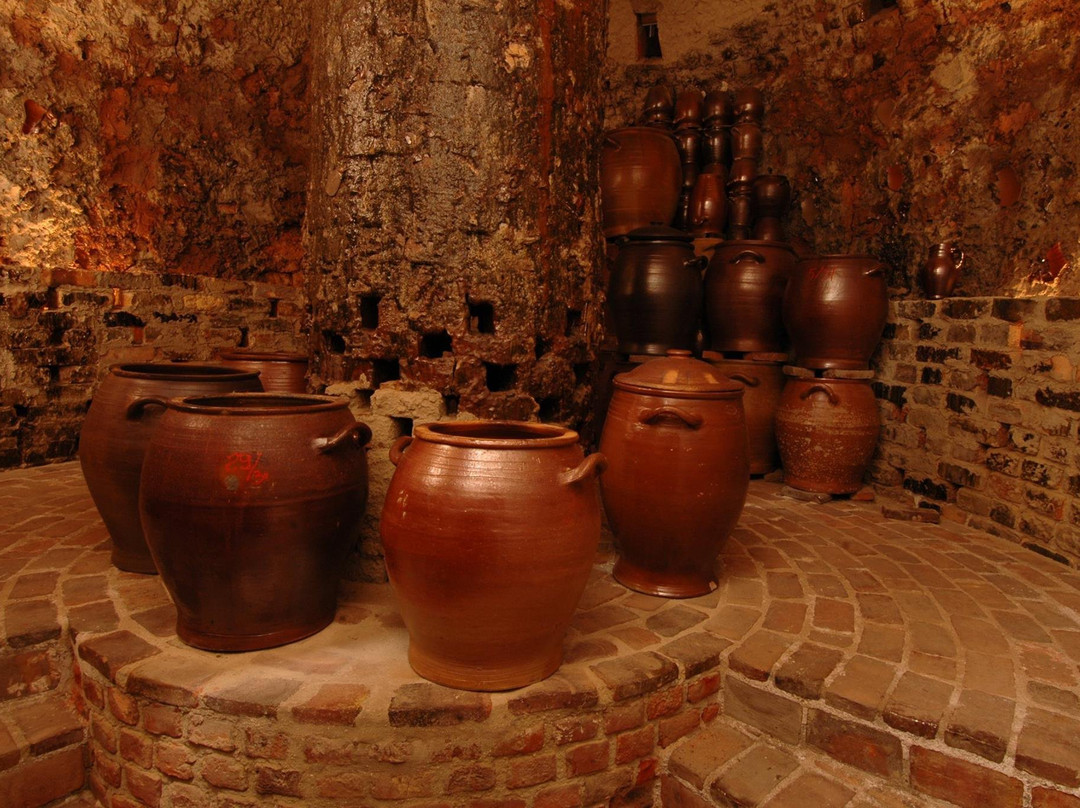 Musee de la Cour des Potiers景点图片