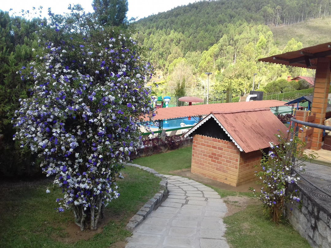 Pousada dos Pinhos主图