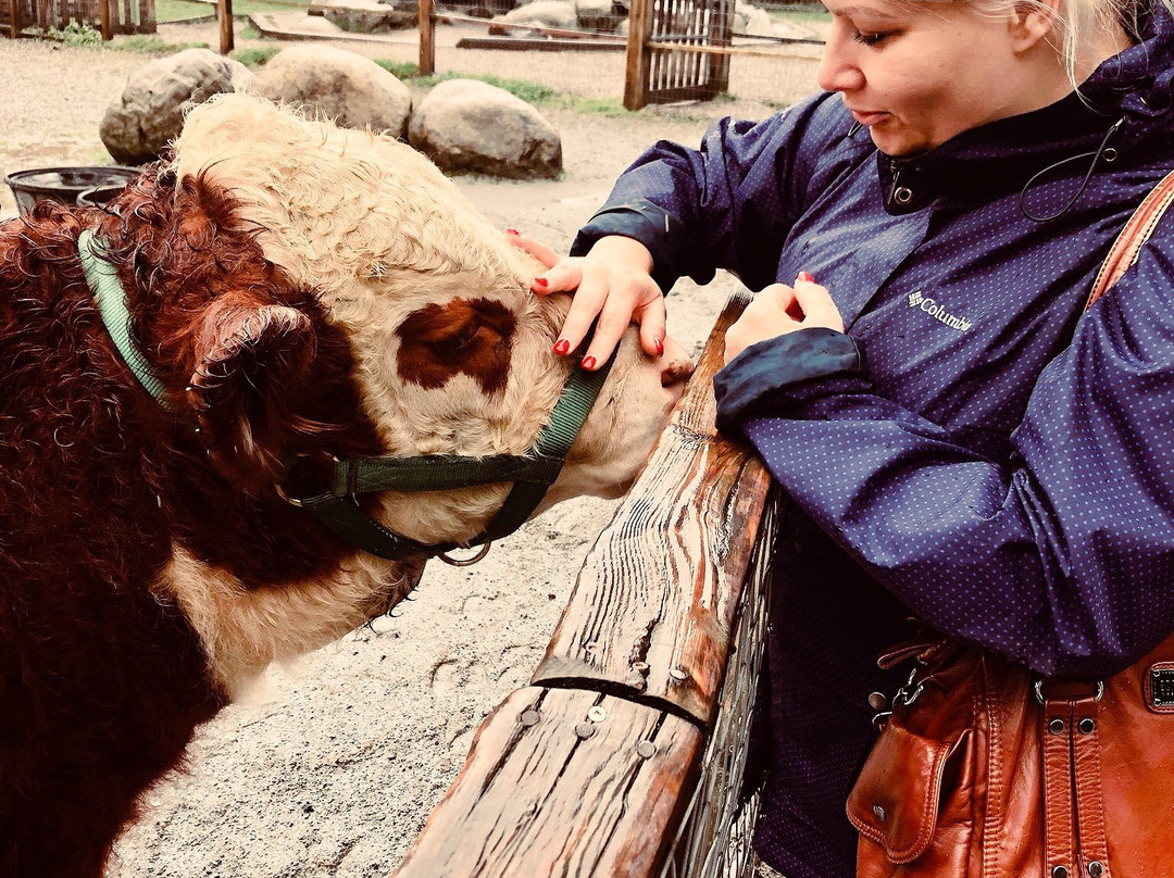 Maplewood Farm-北温哥华必去景点