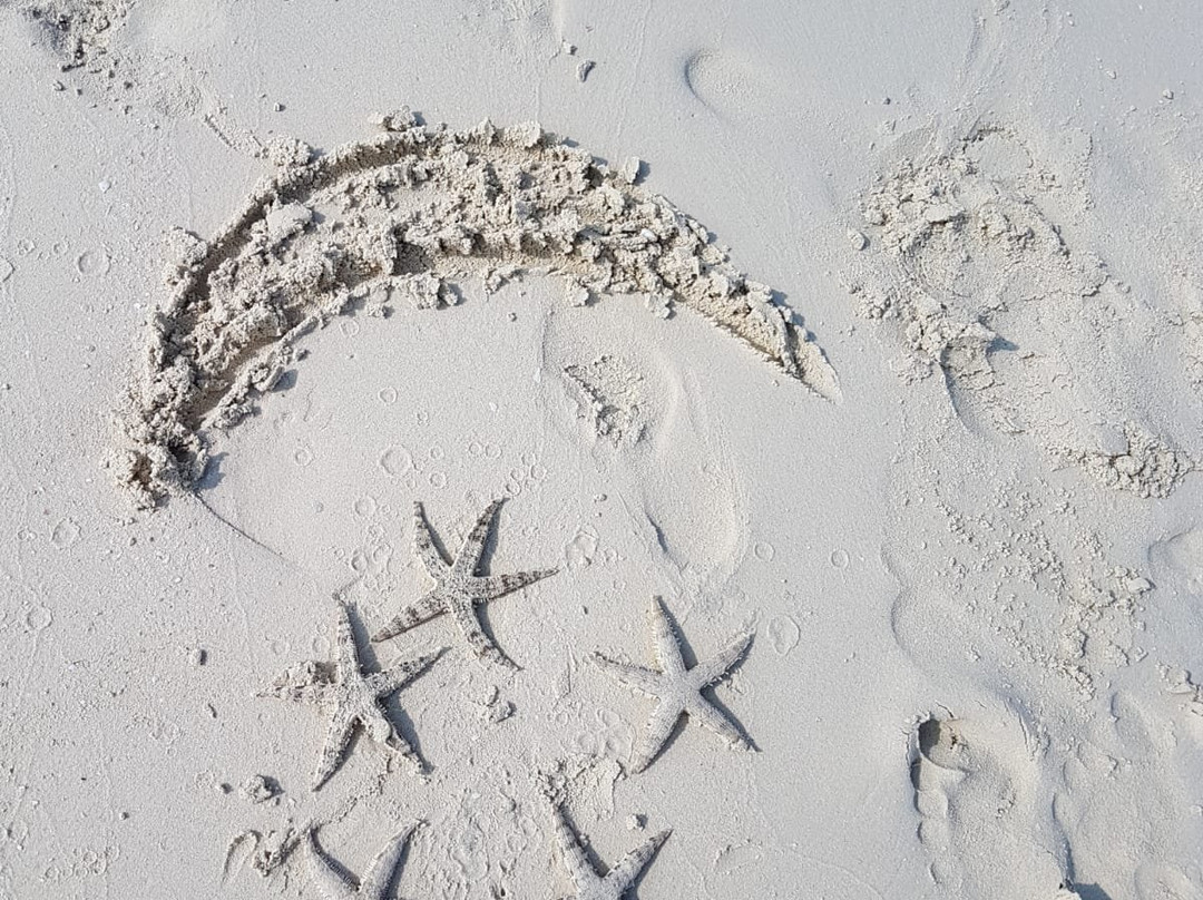 Bawean Island-Gresik必去景点