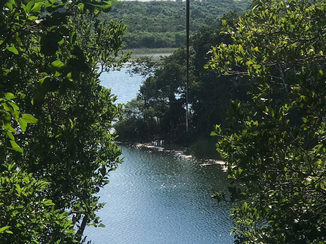 Punta Laguna Nature Reserve景点图片