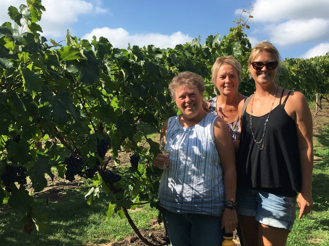 Wild Mountain Winery-Taylors Falls必去景点