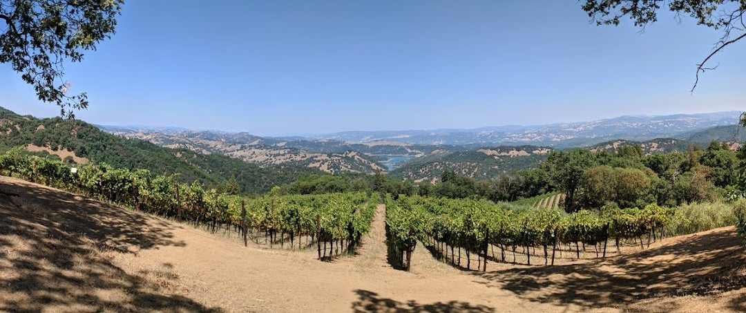 Gustafson Family Vineyard景点图片