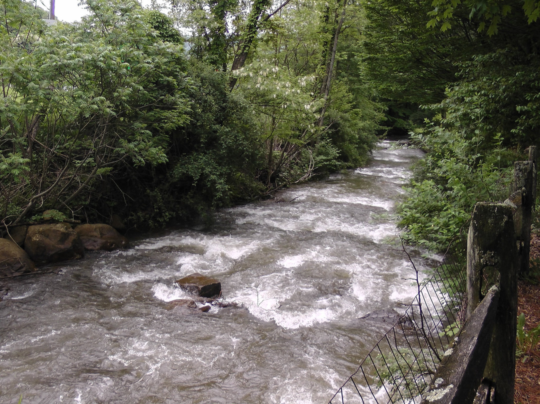 Best Western Braddock Inn主图