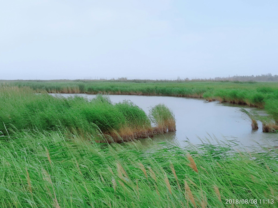相思湖-焉耆回族自治县必去景点